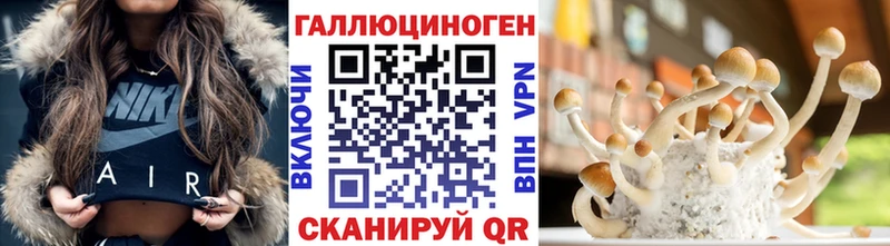 Псилоцибиновые грибы Psilocybe  Лангепас 